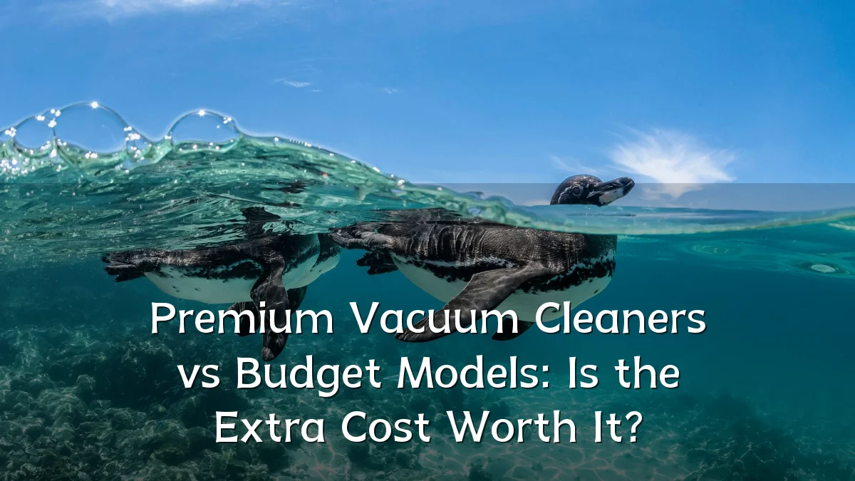 Premium Vacuum Cleaners vs Budget Models: Is the Extra Cost Worth It?