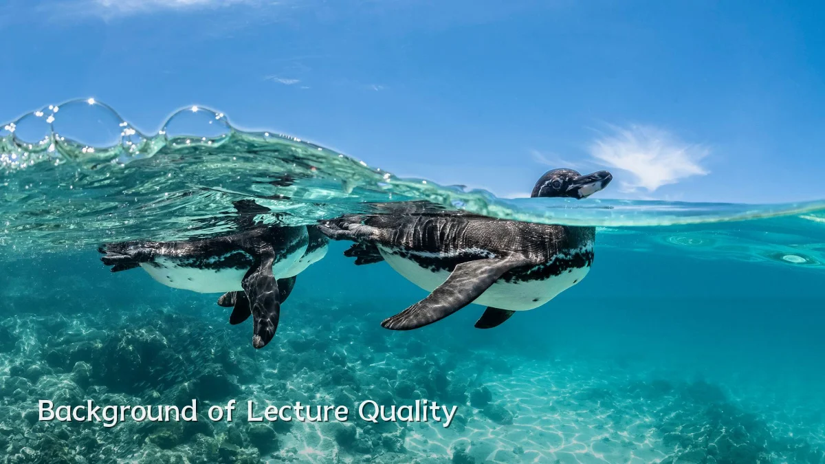Background of Lecture Quality