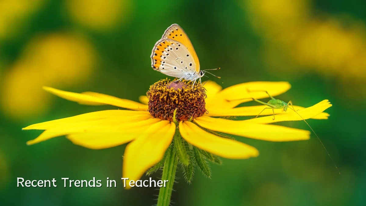 Recent Trends in Teacher