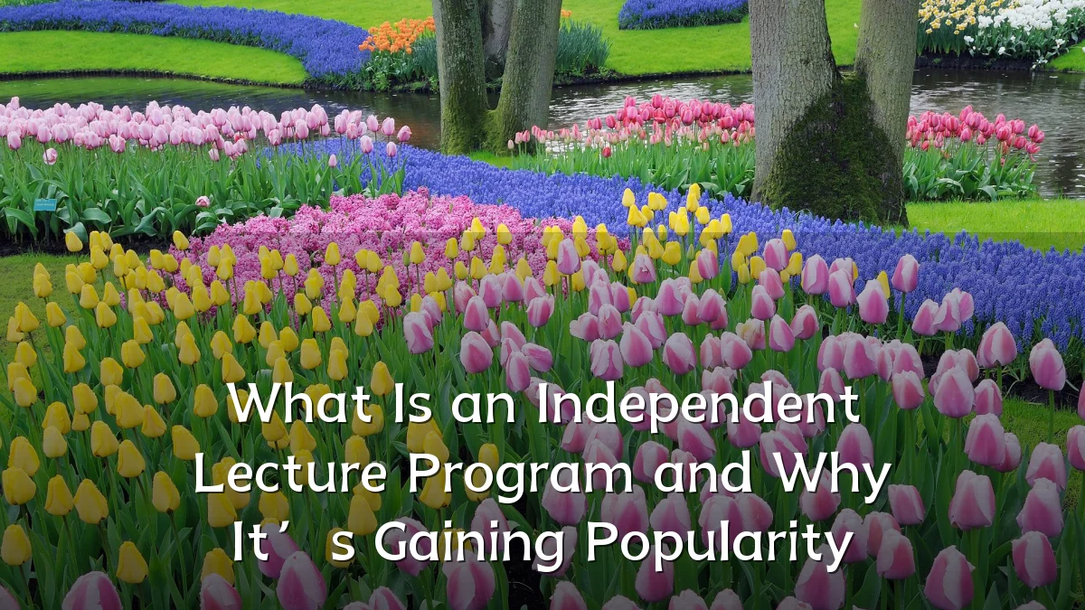 What Is an Independent Lecture Program and Why It’s Gaining Popularity