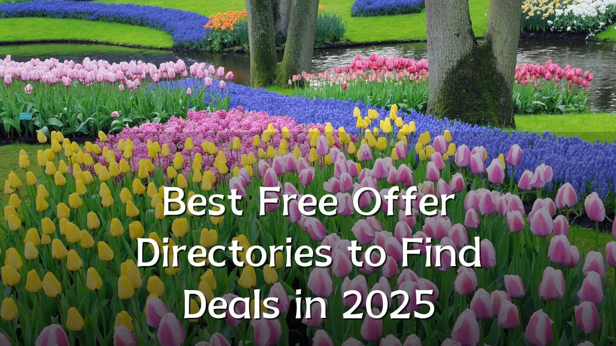 Best Free Offer Directories to Find Deals in 2025