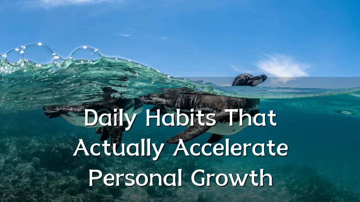 Daily Habits That Actually Accelerate Personal Growth