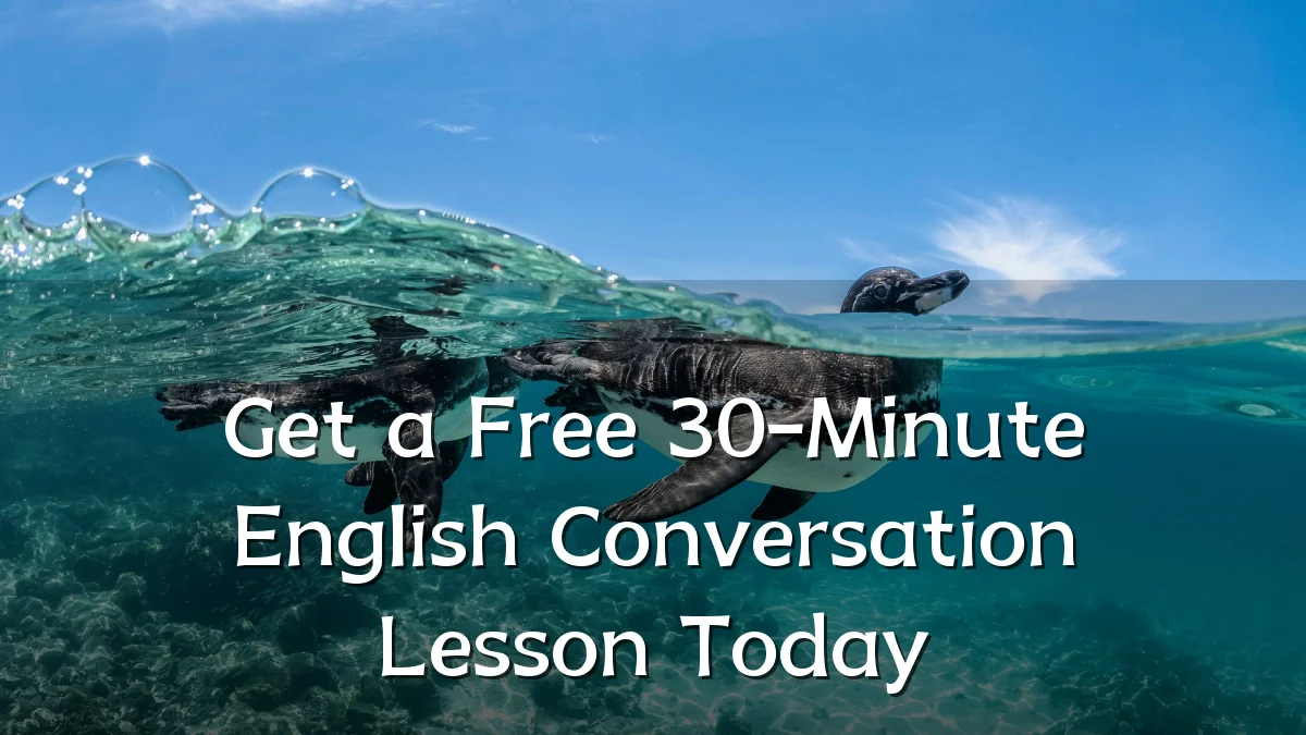 Get a Free 30-Minute English Conversation Lesson Today
