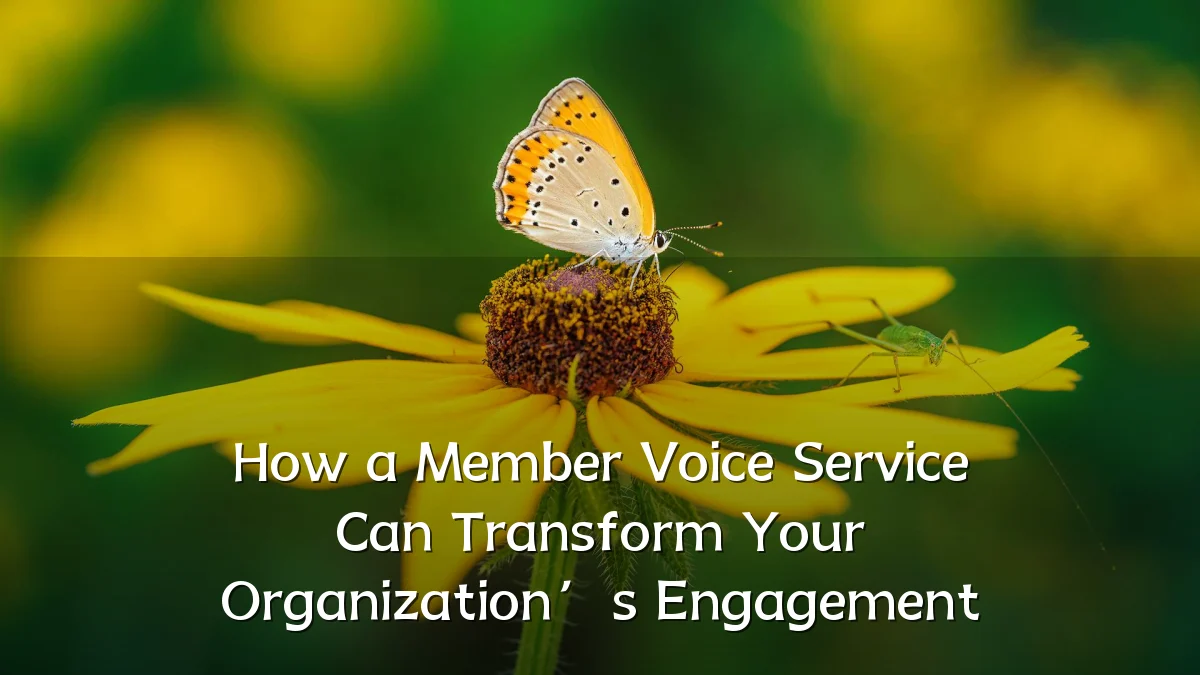 How a Member Voice Service Can Transform Your Organization’s Engagement