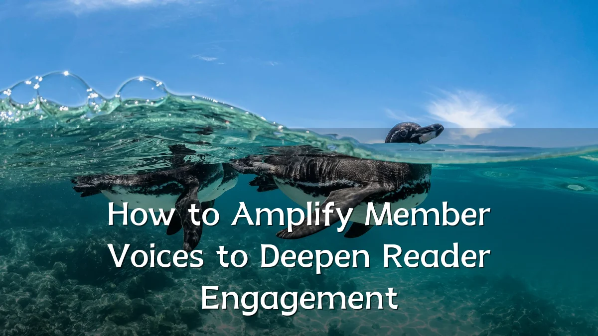 How to Amplify Member Voices to Deepen Reader Engagement