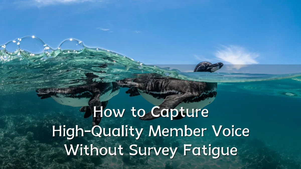 How to Capture High-Quality Member Voice Without Survey Fatigue