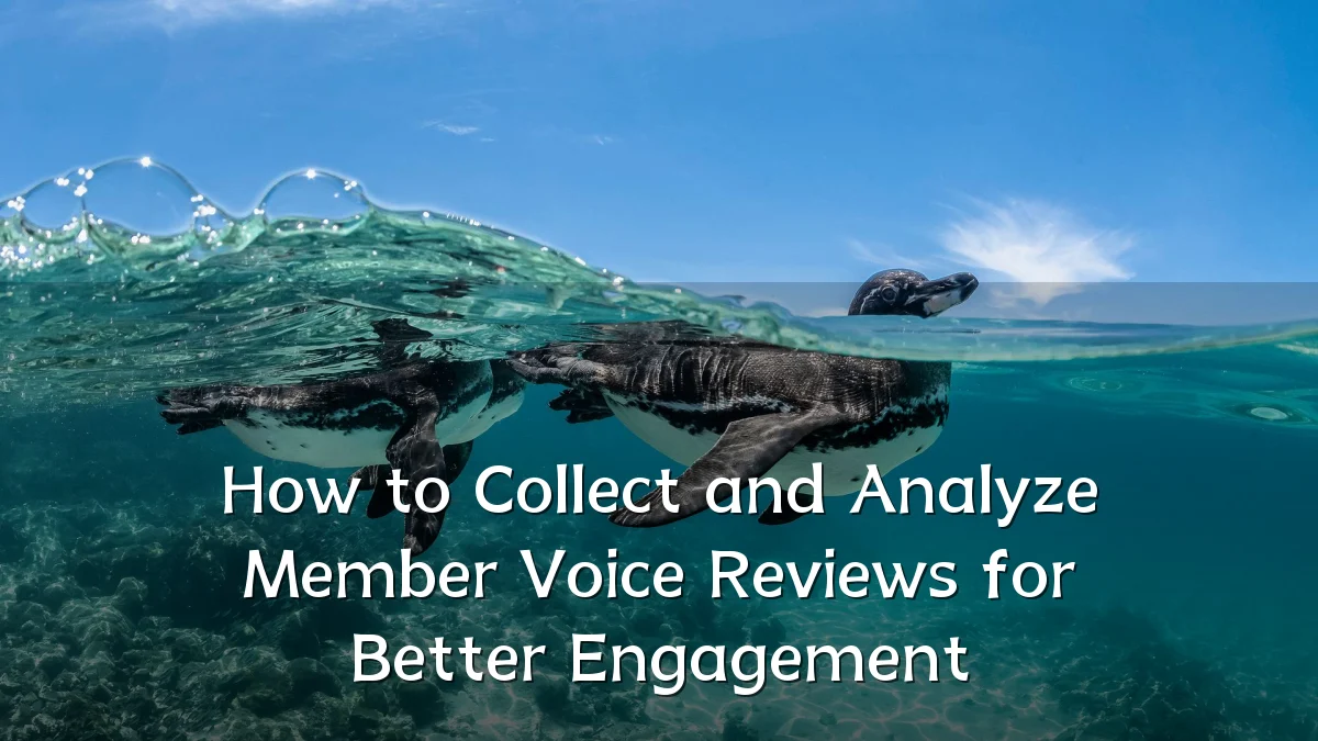 How to Collect and Analyze Member Voice Reviews for Better Engagement