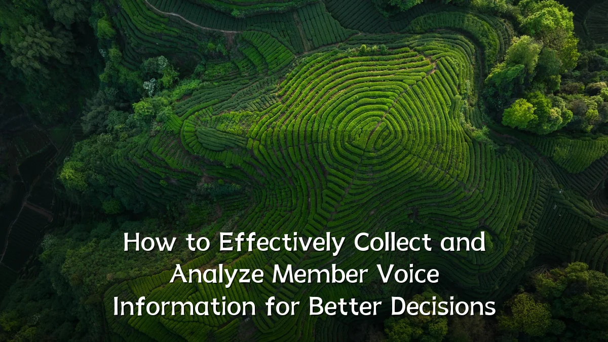 How to Effectively Collect and Analyze Member Voice Information for Better Decisions