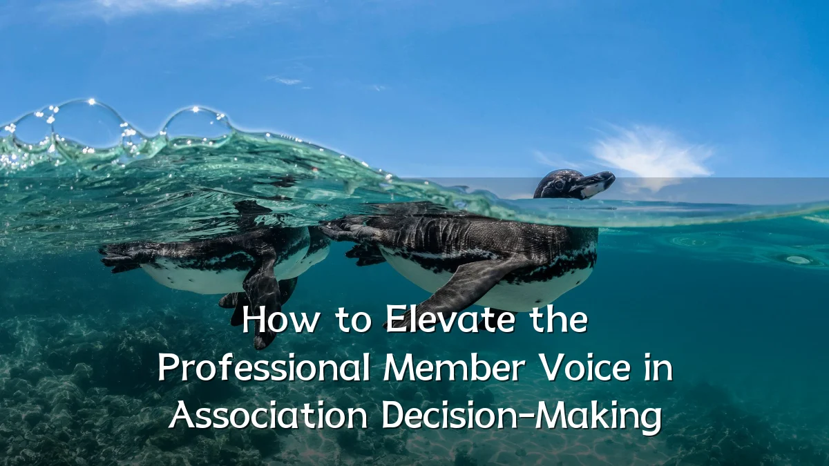 How to Elevate the Professional Member Voice in Association Decision-Making