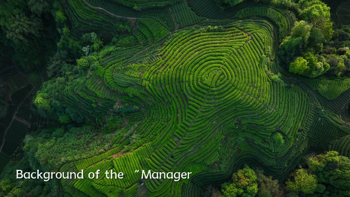 Background of the “Manager