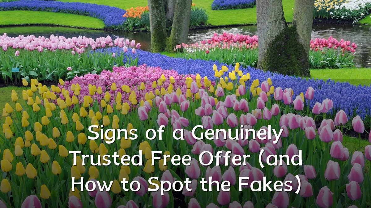 Signs of a Genuinely Trusted Free Offer (and How to Spot the Fakes)