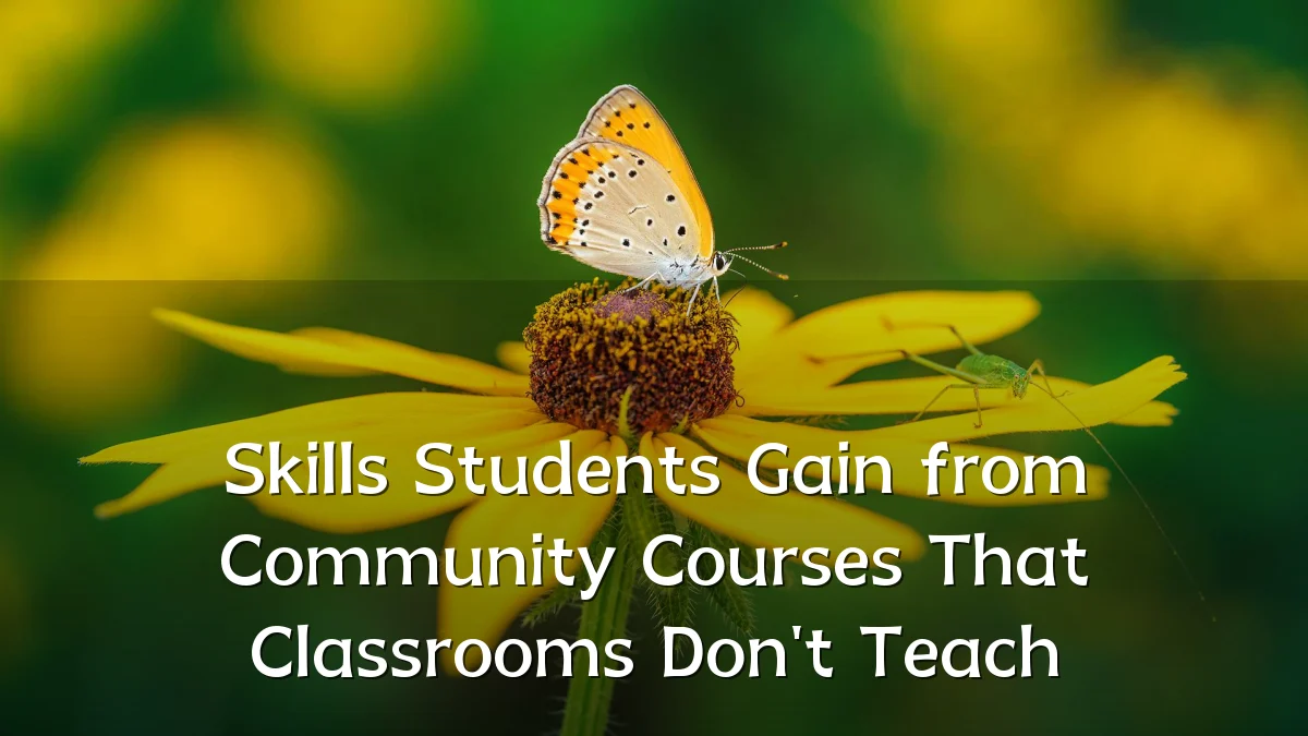 Skills Students Gain from Community Courses That Classrooms Don't Teach