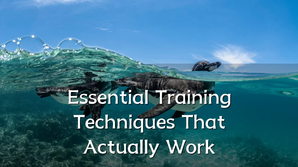 Essential Training Techniques That Actually Work