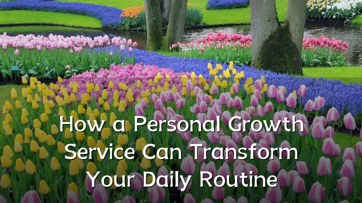 How a Personal Growth Service Can Transform Your Daily Routine