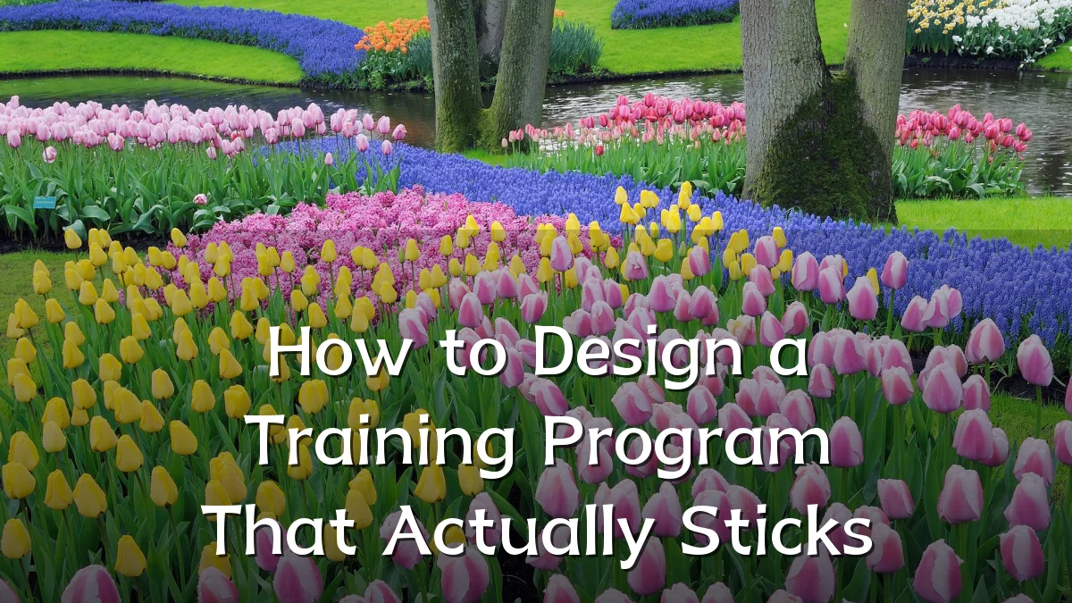 How to Design a Training Program That Actually Sticks