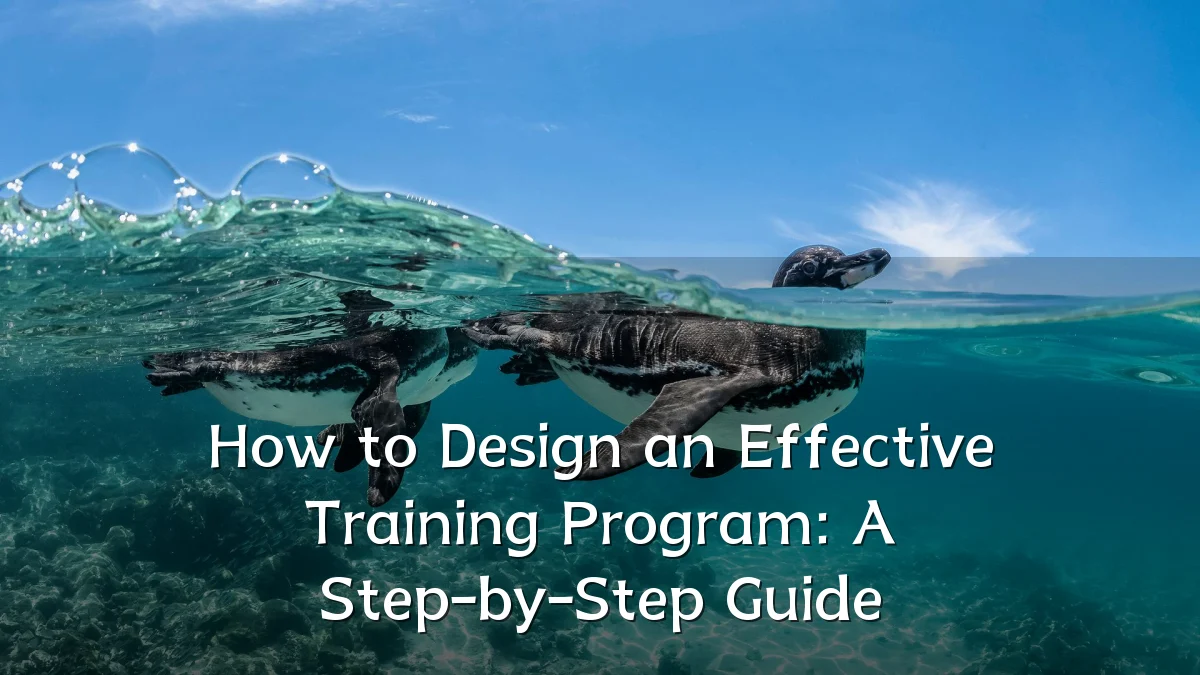 How to Design an Effective Training Program: A Step-by-Step Guide