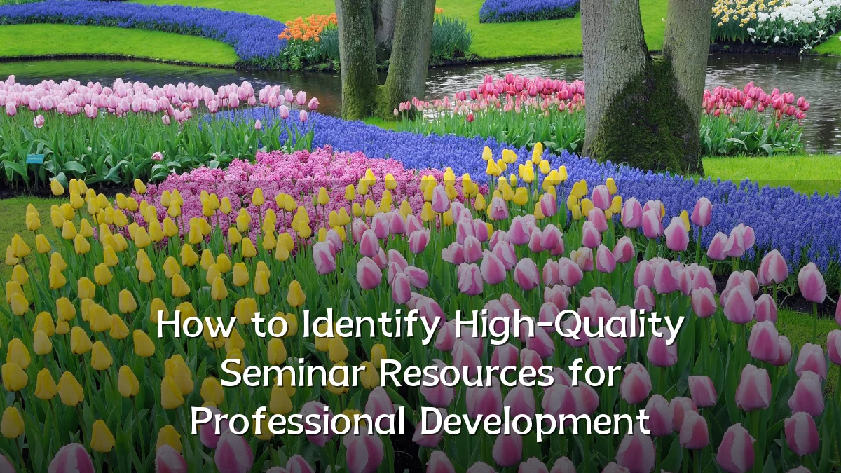 How to Identify High-Quality Seminar Resources for Professional Development