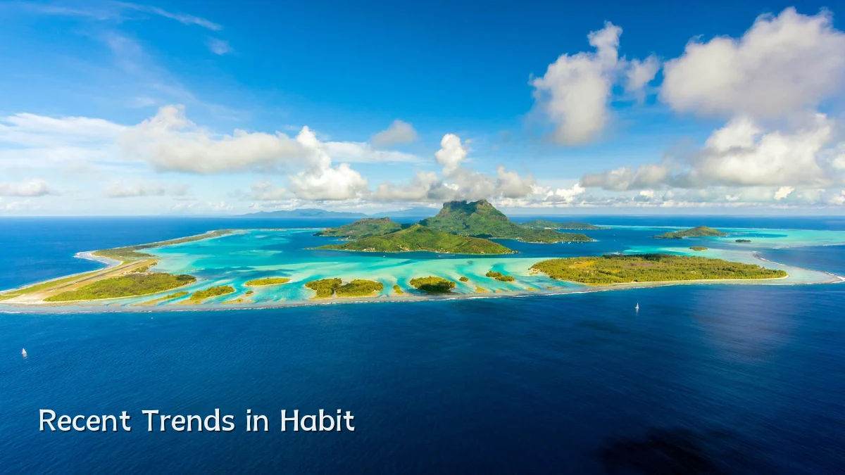Recent Trends in Habit