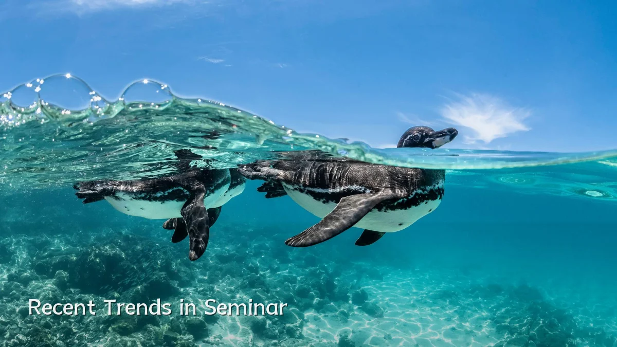 Recent Trends in Seminar
