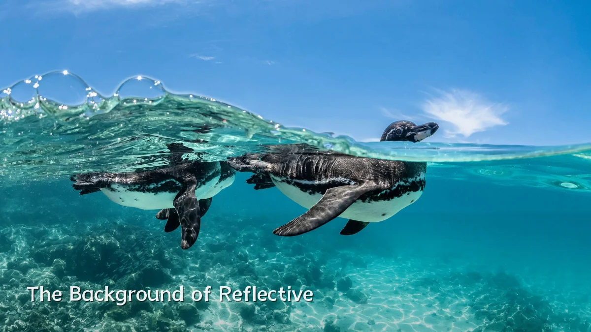 The Background of Reflective