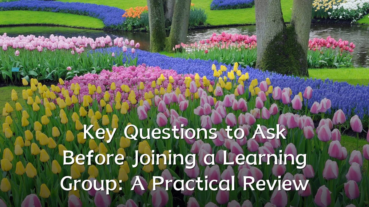 Key Questions to Ask Before Joining a Learning Group: A Practical Review