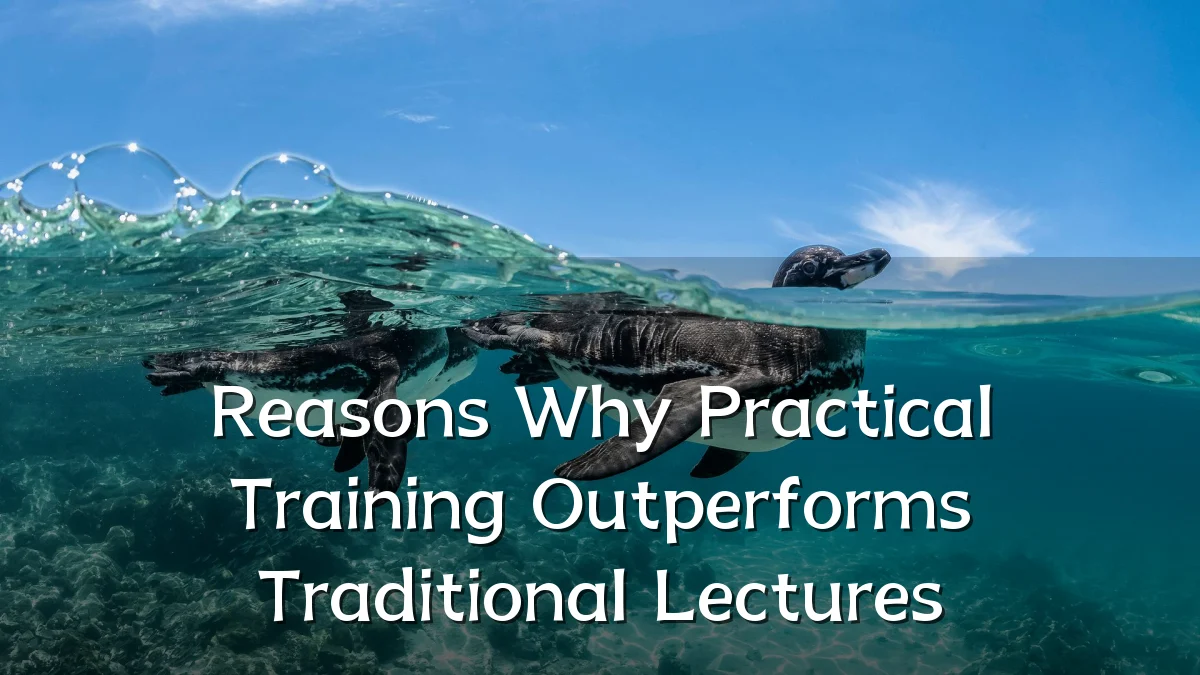 Reasons Why Practical Training Outperforms Traditional Lectures