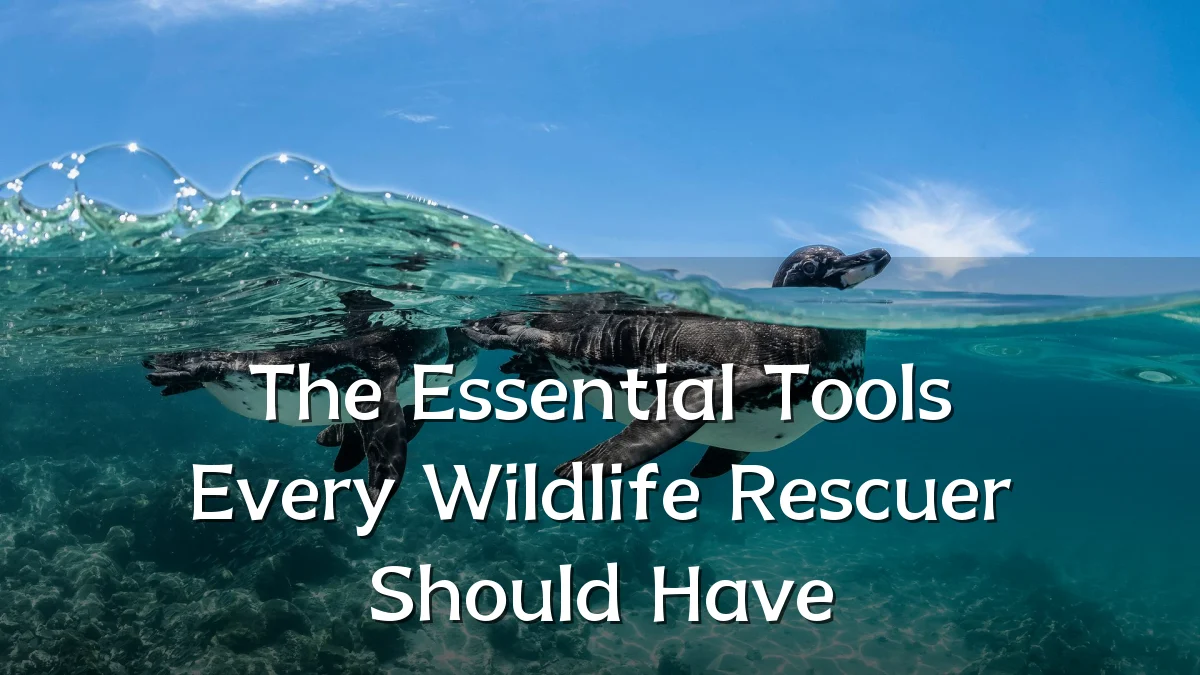 The Essential Tools Every Wildlife Rescuer Should Have