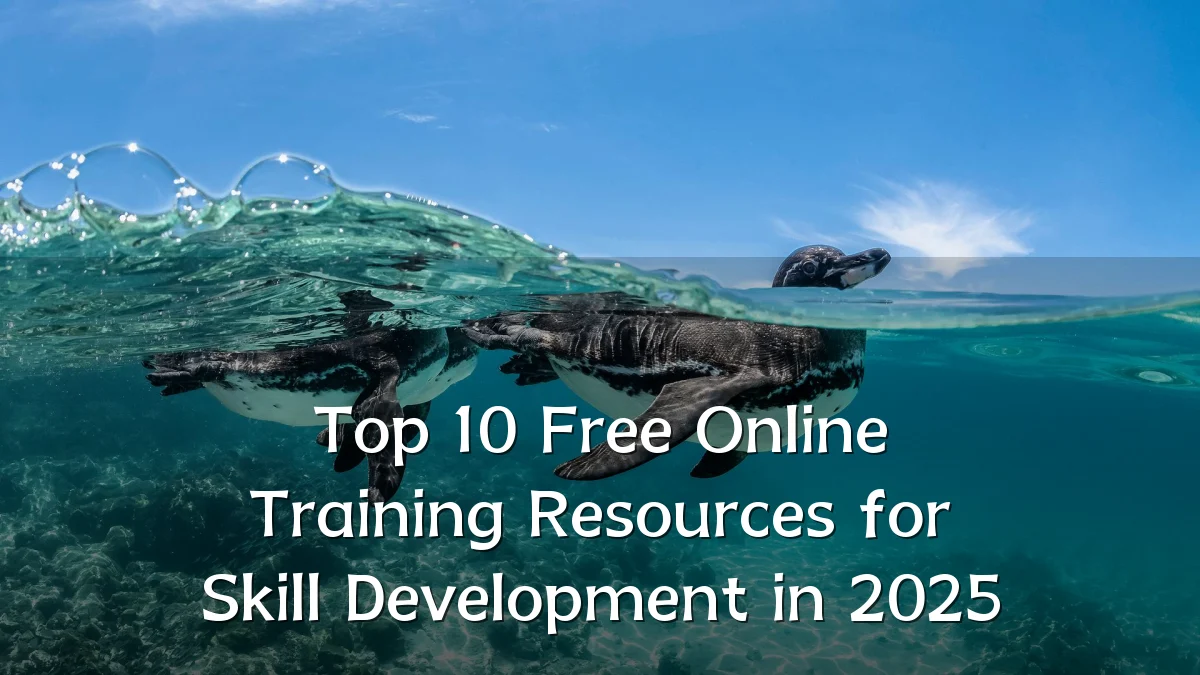 Top 10 Free Online Training Resources for Skill Development in 2025