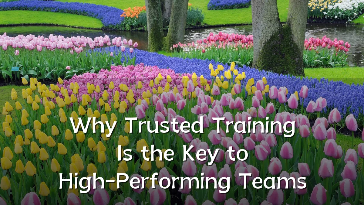 Why Trusted Training Is the Key to High-Performing Teams