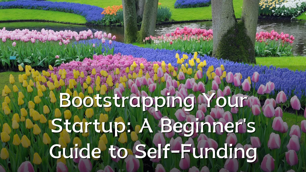Bootstrapping Your Startup: A Beginner's Guide to Self-Funding