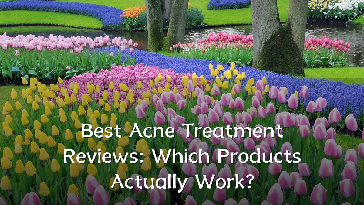 Best Acne Treatment Reviews: Which Products Actually Work?