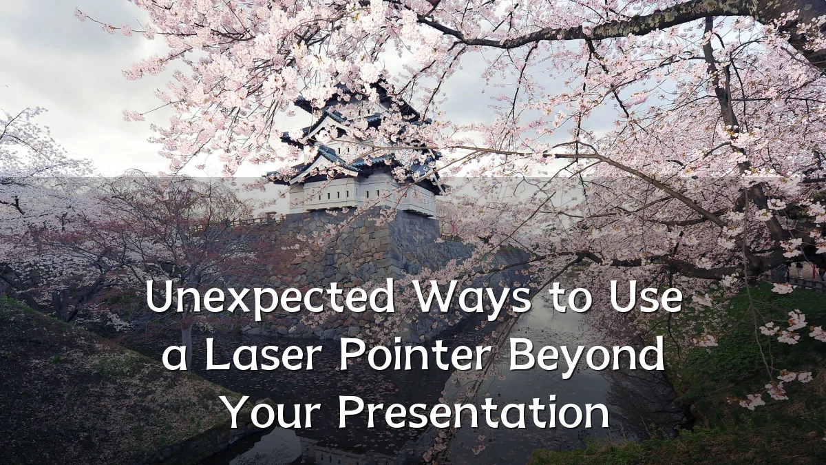 Unexpected Ways to Use a Laser Pointer Beyond Your Presentation